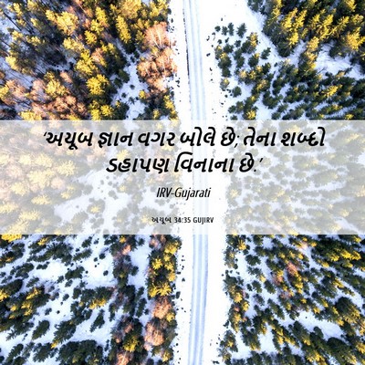Picture 06 - અયૂબ 34:35 GUJIRV - ‘અયૂબ જ્ઞાન વગર - Bible Verse Picture