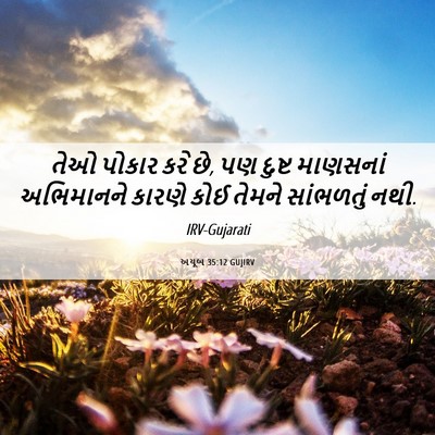 Picture 06 - અયૂબ 35:12 GUJIRV - તેઓ પોકાર કરે છે, - Bible Verse Picture
