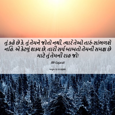 Picture 06 - અયૂબ 35:14 GUJIRV - તું કહે છે કે, તું - Bible Verse Picture