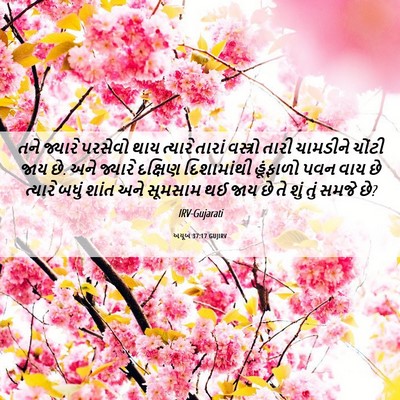 Picture 06 - અયૂબ 37:17 GUJIRV - તને જ્યારે પરસેવો - Bible Verse Picture