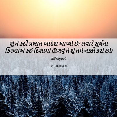 Picture 06 - અયૂબ 38:12 GUJIRV - શું તેં કદી પ્રભાત - Bible Verse Picture