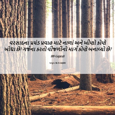 Picture 06 - અયૂબ 38:25 GUJIRV - વરસાદના પ્રચંડ - Bible Verse Picture