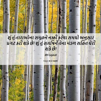 Picture 06 - અયૂબ 38:32 GUJIRV - શું તું તારાઓના - Bible Verse Picture
