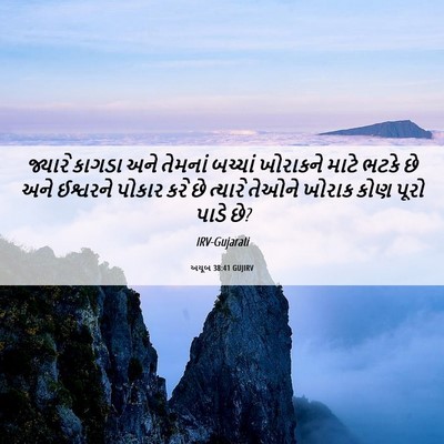 Picture 06 - અયૂબ 38:41 GUJIRV - જ્યારે કાગડા અને - Bible Verse Picture