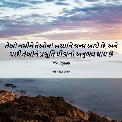 Picture 06 - અયૂબ 39:3 GUJIRV - તેઓ નમીને તેઓનાં - Bible Verse Picture
