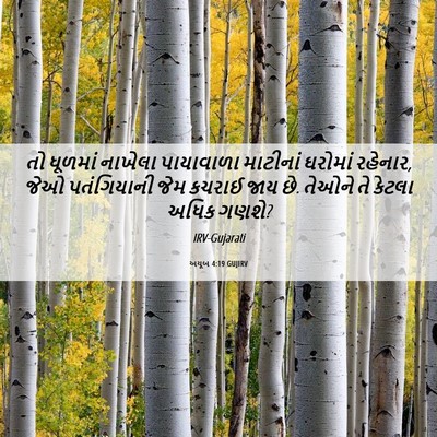 Picture 06 - અયૂબ 4:19 GUJIRV - તો ધૂળમાં નાખેલા - Bible Verse Picture