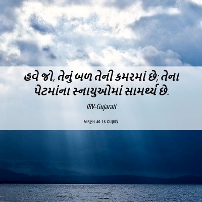 Picture 06 - અયૂબ 40:16 GUJIRV - હવે જો, તેનું બળ - Bible Verse Picture