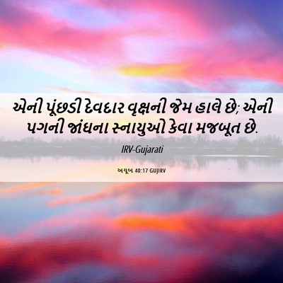 Picture 06 - અયૂબ 40:17 GUJIRV - એની પૂંછડી દેવદાર - Bible Verse Picture