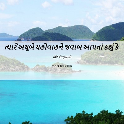 Picture 06 - અયૂબ 40:3 GUJIRV - ત્યારે અયૂબે - Bible Verse Picture