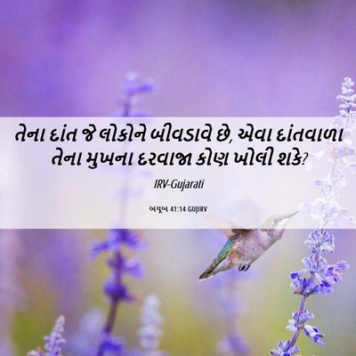 Picture 06 - અયૂબ 41:14 GUJIRV - તેના દાંત જે - Bible Verse Picture