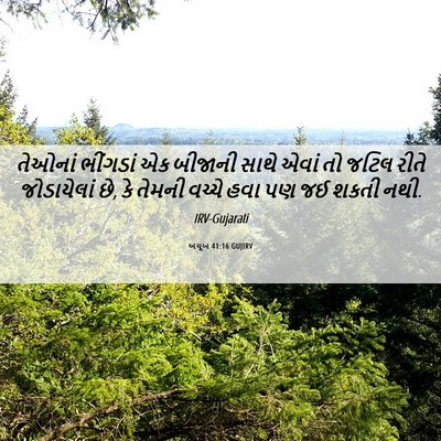 Picture 06 - અયૂબ 41:16 GUJIRV - તેઓનાં ભીંગડાં એક - Bible Verse Picture