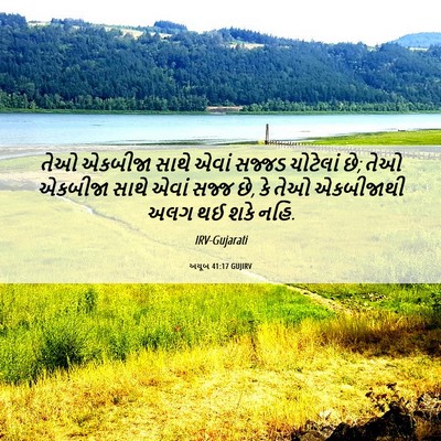 Picture 06 - અયૂબ 41:17 GUJIRV - તેઓ એકબીજા સાથે - Bible Verse Picture