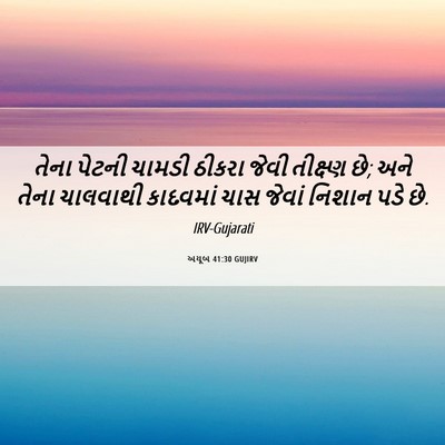 Picture 06 - અયૂબ 41:30 GUJIRV - તેના પેટની ચામડી - Bible Verse Picture
