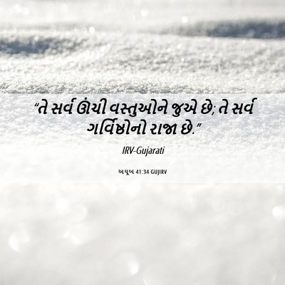 Picture 06 - અયૂબ 41:34 GUJIRV - “તે સર્વ ઊંચી - Bible Verse Picture