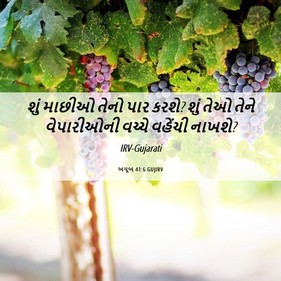 Picture 06 - અયૂબ 41:6 GUJIRV - શું માછીઓ તેનો પાર - Bible Verse Picture