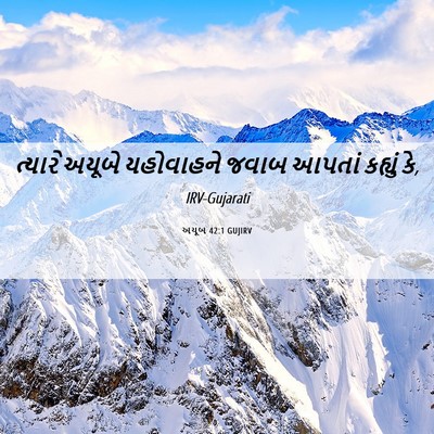 Picture 06 - અયૂબ 42:1 GUJIRV - ત્યારે અયૂબે - Bible Verse Picture