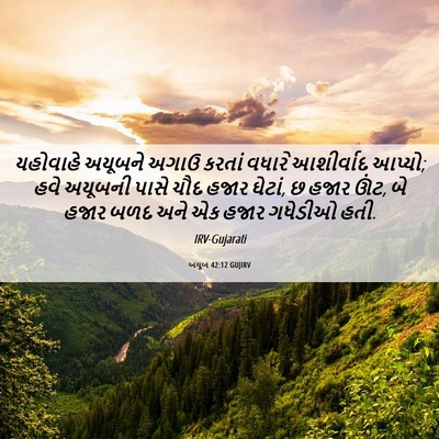 Picture 06 - અયૂબ 42:12 GUJIRV - યહોવાહે અયૂબને - Bible Verse Picture