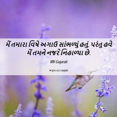 Picture 06 - અયૂબ 42:5 GUJIRV - મેં તમારા વિષે - Bible Verse Picture