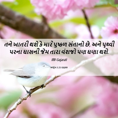 Picture 06 - અયૂબ 5:25 GUJIRV - તને ખાતરી થશે કે - Bible Verse Picture