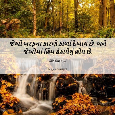 Picture 06 - અયૂબ 6:16 GUJIRV - જેઓ બરફના કારણે - Bible Verse Picture