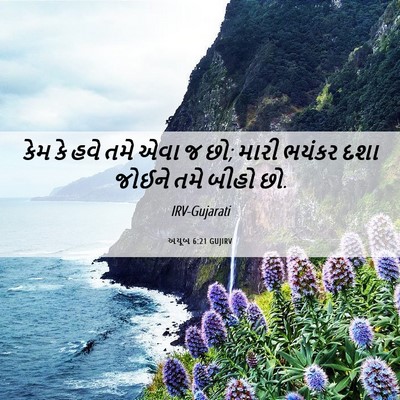 Picture 06 - અયૂબ 6:21 GUJIRV - કેમ કે હવે તમે એવા - Bible Verse Picture
