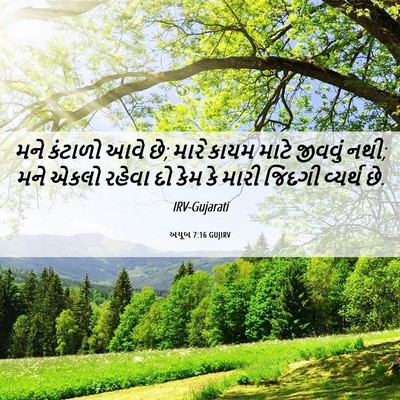 Picture 06 - અયૂબ 7:16 GUJIRV - મને કંટાળો આવે છે; - Bible Verse Picture