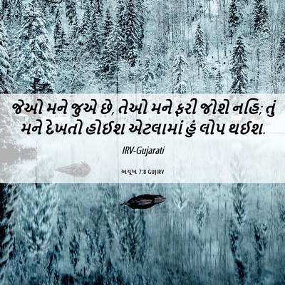 Picture 06 - અયૂબ 7:8 GUJIRV - જેઓ મને જુએ છે, તેઓ - Bible Verse Picture