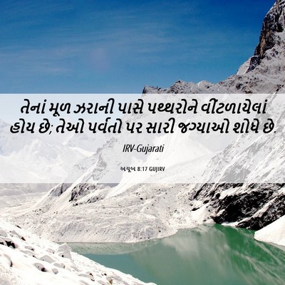 Picture 06 - અયૂબ 8:17 GUJIRV - તેનાં મૂળ ઝરાની - Bible Verse Picture