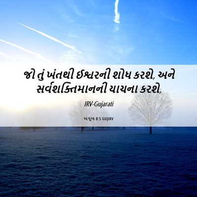 Picture 06 - અયૂબ 8:5 GUJIRV - જો તું ખંતથી - Bible Verse Picture