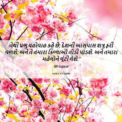 Picture 06 - આમોસ 3:11 GUJIRV - તેથી પ્રભુ યહોવાહ - Bible Verse Picture