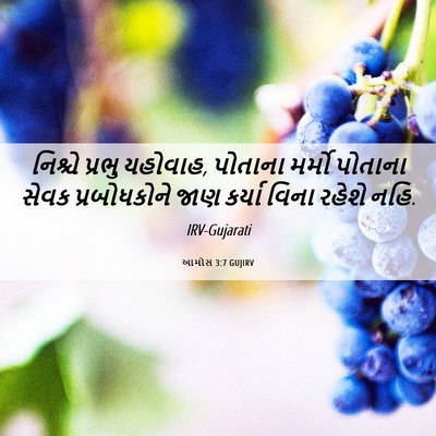 Picture 06 - આમોસ 3:7 GUJIRV - નિશ્ચે પ્રભુ - Bible Verse Picture