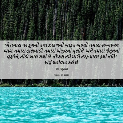 Picture 06 - આમોસ 4:9 GUJIRV - “મેં તમારા પર - Bible Verse Picture