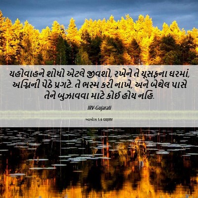 Picture 06 - આમોસ 5:6 GUJIRV - યહોવાહને શોધો - Bible Verse Picture