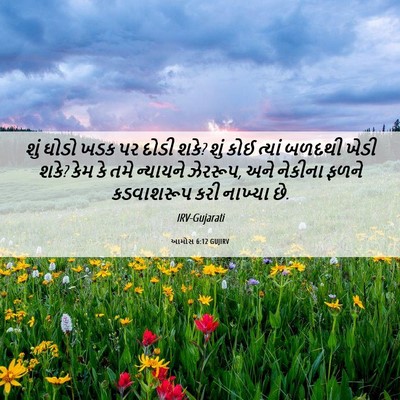 Picture 06 - આમોસ 6:12 GUJIRV - શું ઘોડો ખડક પર - Bible Verse Picture
