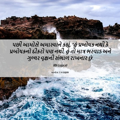 Picture 06 - આમોસ 7:14 GUJIRV - પછી આમોસે - Bible Verse Picture