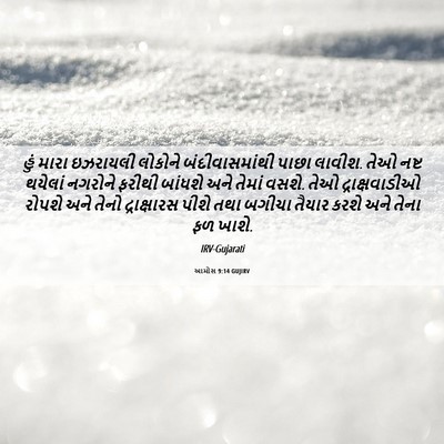 Picture 06 - આમોસ 9:14 GUJIRV - હું મારા ઇઝરાયલી - Bible Verse Picture