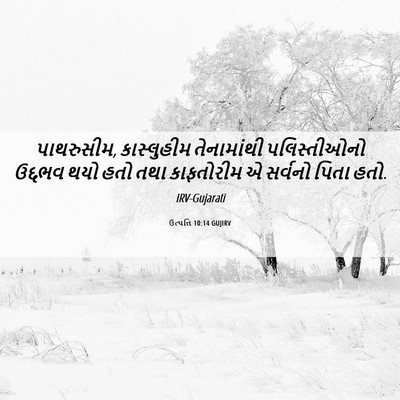 Picture 06 - ઉત્પત્તિ 10:14 GUJIRV - પાથરુસીમ, - Bible Verse Picture