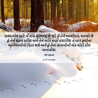 Picture 06 - ઉત્પત્તિ 17:20 GUJIRV - ઇશ્માએલ માટે, મેં - Bible Verse Picture