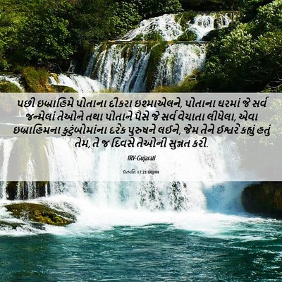 Picture 06 - ઉત્પત્તિ 17:23 GUJIRV - પછી ઇબ્રાહિમે - Bible Verse Picture