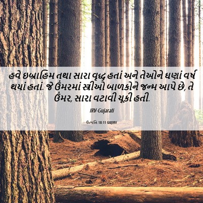 Picture 06 - ઉત્પત્તિ 18:11 GUJIRV - હવે ઇબ્રાહિમ તથા - Bible Verse Picture