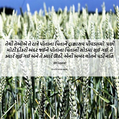Picture 06 - ઉત્પત્તિ 19:33 GUJIRV - તેથી તેઓએ તે - Bible Verse Picture