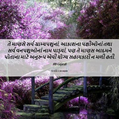Picture 06 - ઉત્પત્તિ 2:20 GUJIRV - તે માણસે સર્વ - Bible Verse Picture