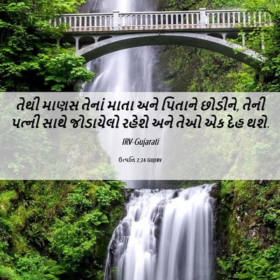 Picture 06 - ઉત્પત્તિ 2:24 GUJIRV - તેથી માણસ તેનાં - Bible Verse Picture