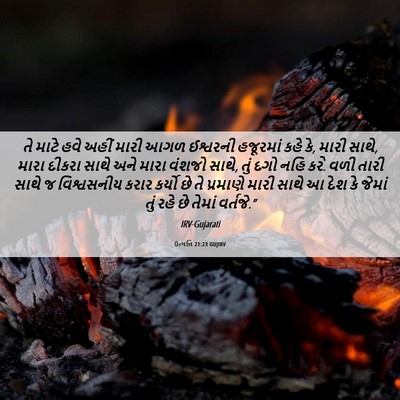Picture 06 - ઉત્પત્તિ 21:23 GUJIRV - તે માટે હવે અહીં - Bible Verse Picture