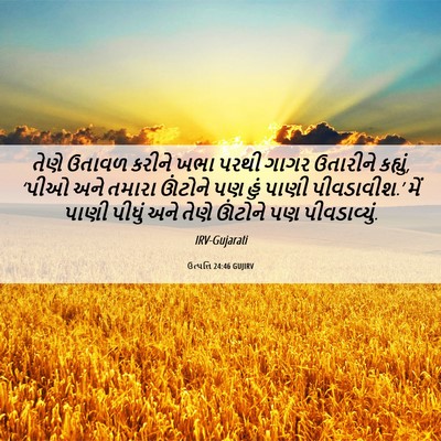 Picture 06 - ઉત્પત્તિ 24:46 GUJIRV - તેણે ઉતાવળ કરીને - Bible Verse Picture