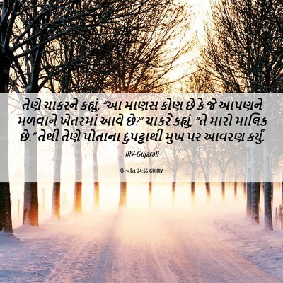 Picture 06 - ઉત્પત્તિ 24:65 GUJIRV - તેણે ચાકરને - Bible Verse Picture