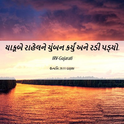 Picture 06 - ઉત્પત્તિ 29:11 GUJIRV - યાકૂબે રાહેલને - Bible Verse Picture
