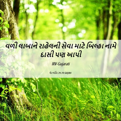 Picture 06 - ઉત્પત્તિ 29:29 GUJIRV - વળી લાબાને - Bible Verse Picture