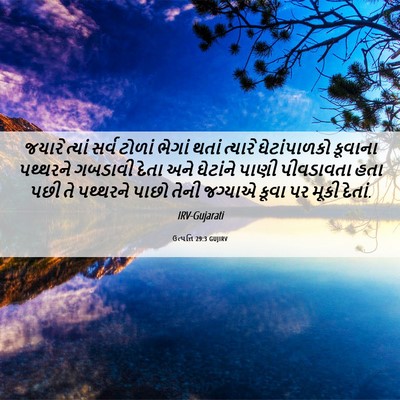 Picture 06 - ઉત્પત્તિ 29:3 GUJIRV - જયારે ત્યાં સર્વ - Bible Verse Picture