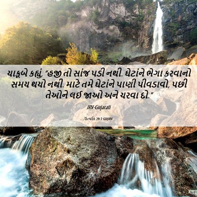 Picture 06 - ઉત્પત્તિ 29:7 GUJIRV - યાકૂબે કહ્યું, - Bible Verse Picture